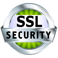 Image of circle with SSL Security inside to support Website Protection service
