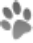 grey dog paw image over a mid blue background