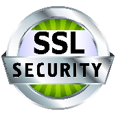 Image of circle with SSL Security inside to support Website Protection service